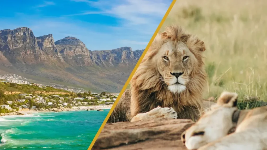10 Day Cape Town and Mpumalanga Safari Tour